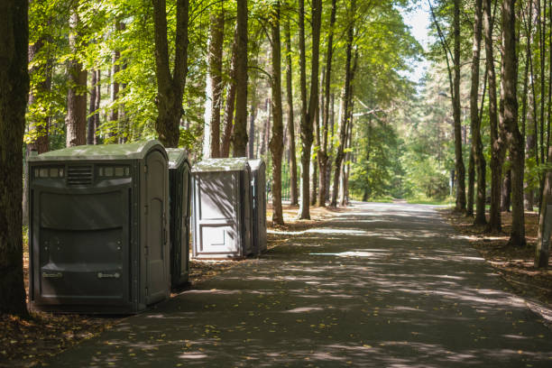 Best Affordable porta potty rental  in St Ansgar, IA
